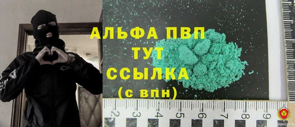 мяу мяу мука Аркадак